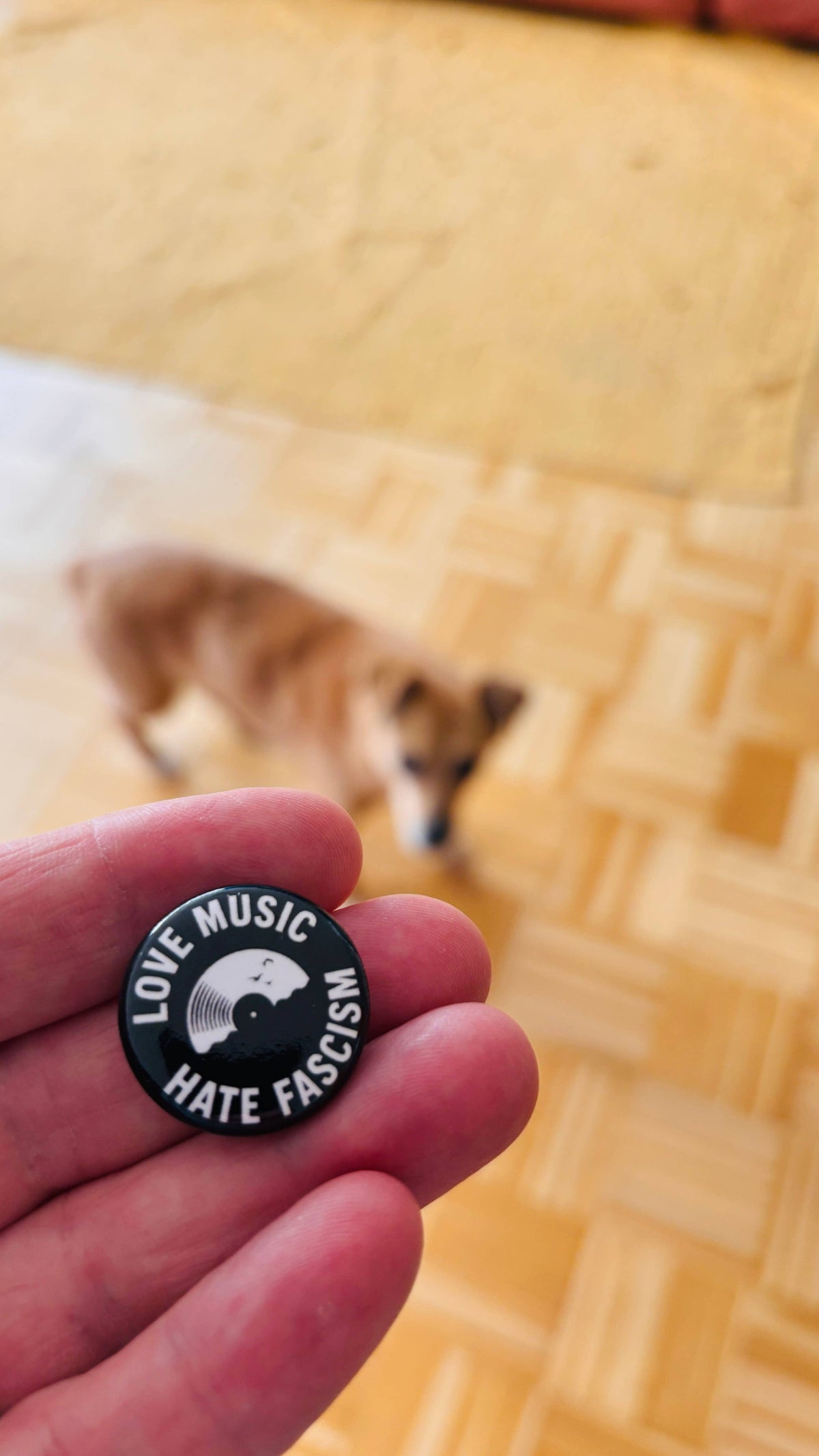 Love music hate fascism Button – 25mm