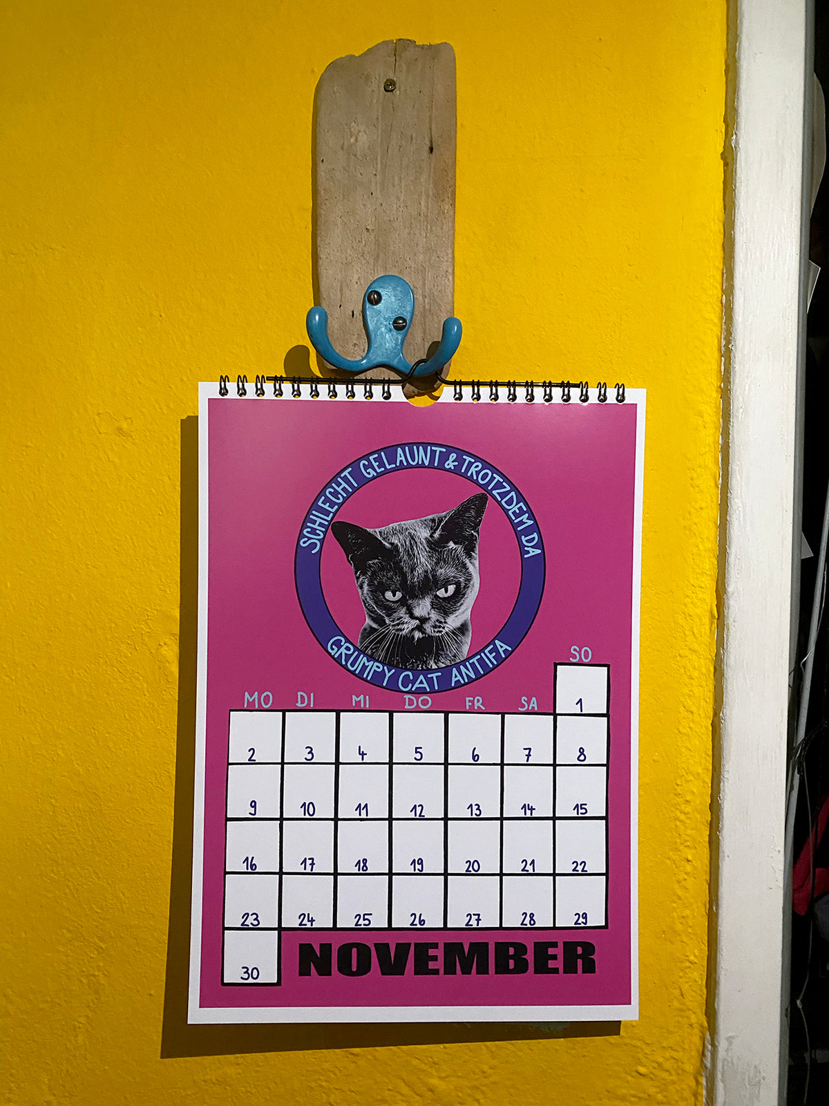 Der queer feministische Katzenkalender 2026
