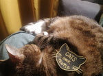 Cats over people Patch