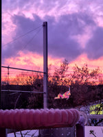 Suncatcher Cats Sheet Fenstersticker