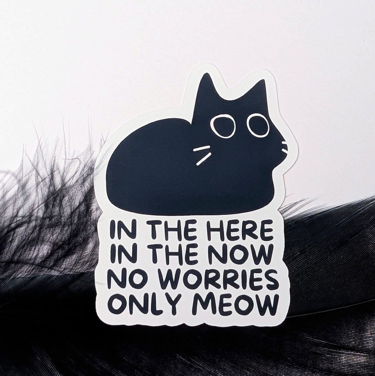 Only meow - Vinylsticker