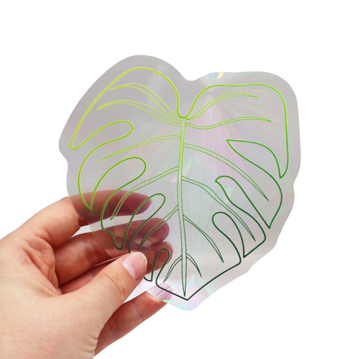 Suncatcher Monstera Fenstersticker