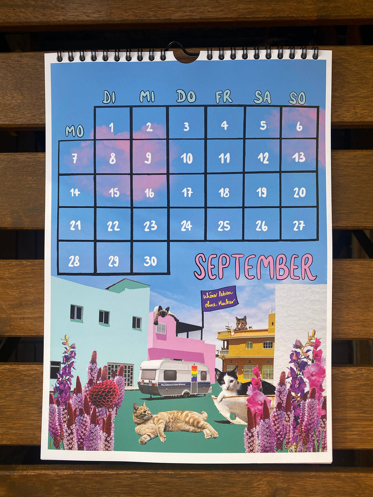 Der queer feministische Katzenkalender 2026