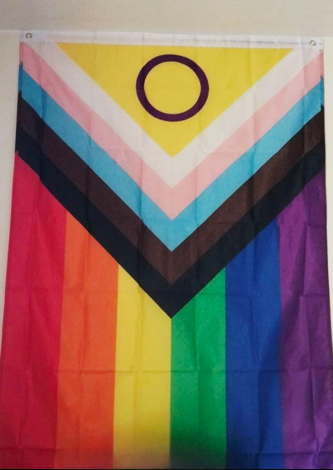 Inter-Pride Progress Flagge/Fahne