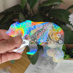 Vorbestellung Suncatcher Bear Fenstersticker