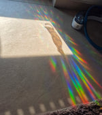 Suncatcher Cats Sheet Fenstersticker