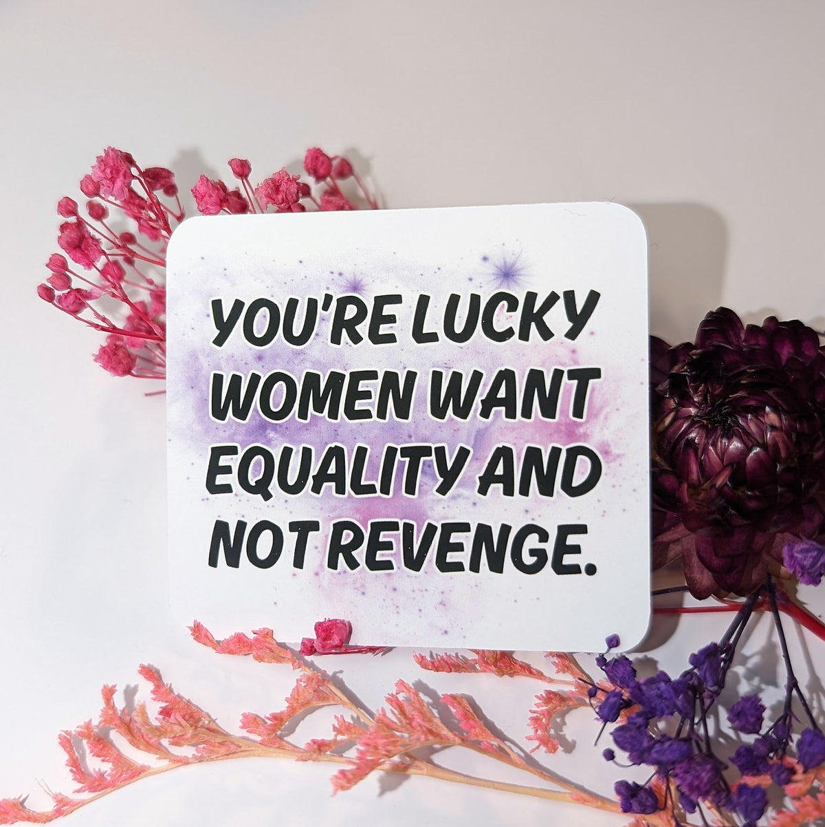 Equality not Revenge - Vinylsticker